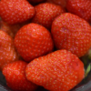 La fraise de la Cueillette des Garcin