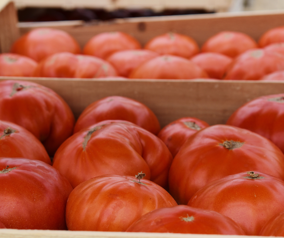 La tomate : votre cocktail vitaminé de l’été !